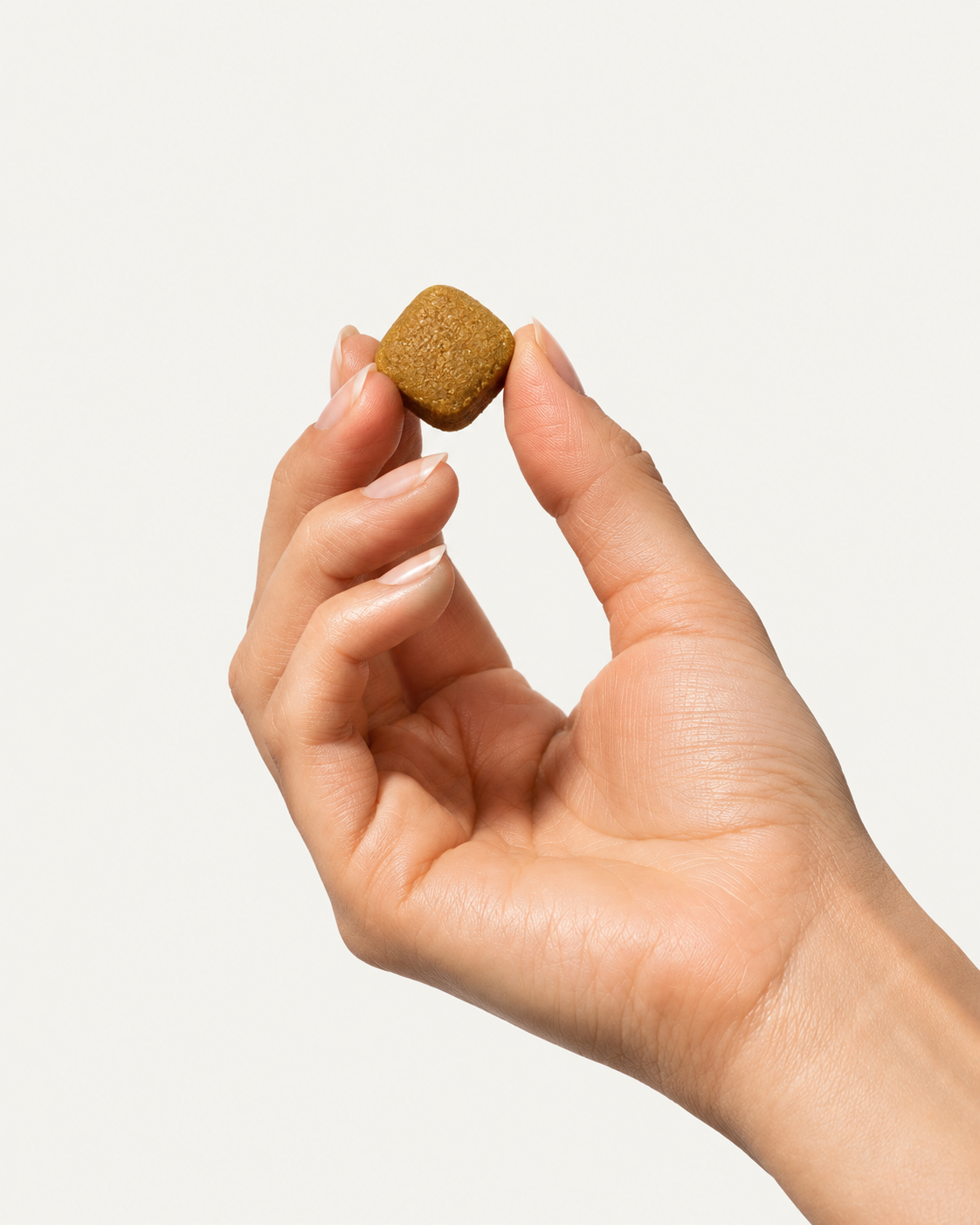 VetBio™ 15-in-1 Multivitamin Soft Chews for Dogs