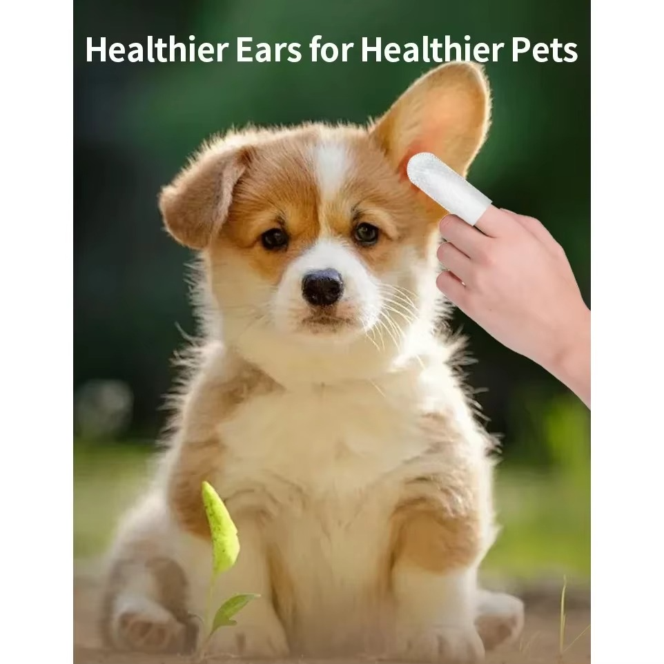 Teeth Cleaning Wipes