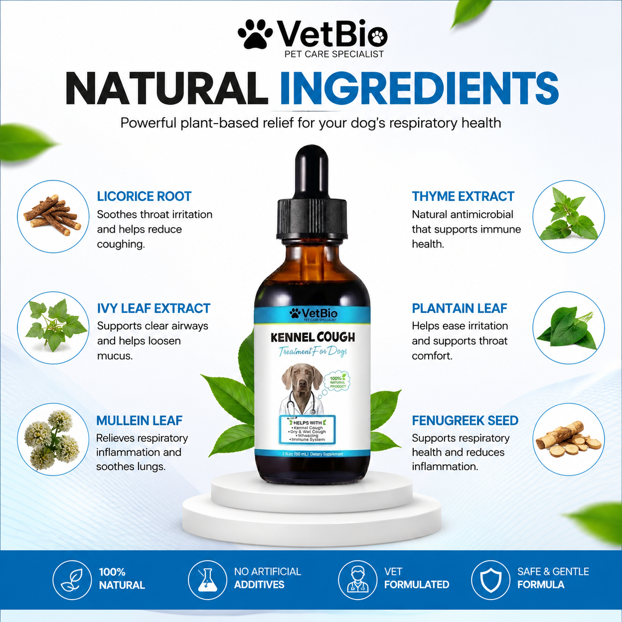 VetBio™ Kennel Cough Treatment for Dogs (60ml)