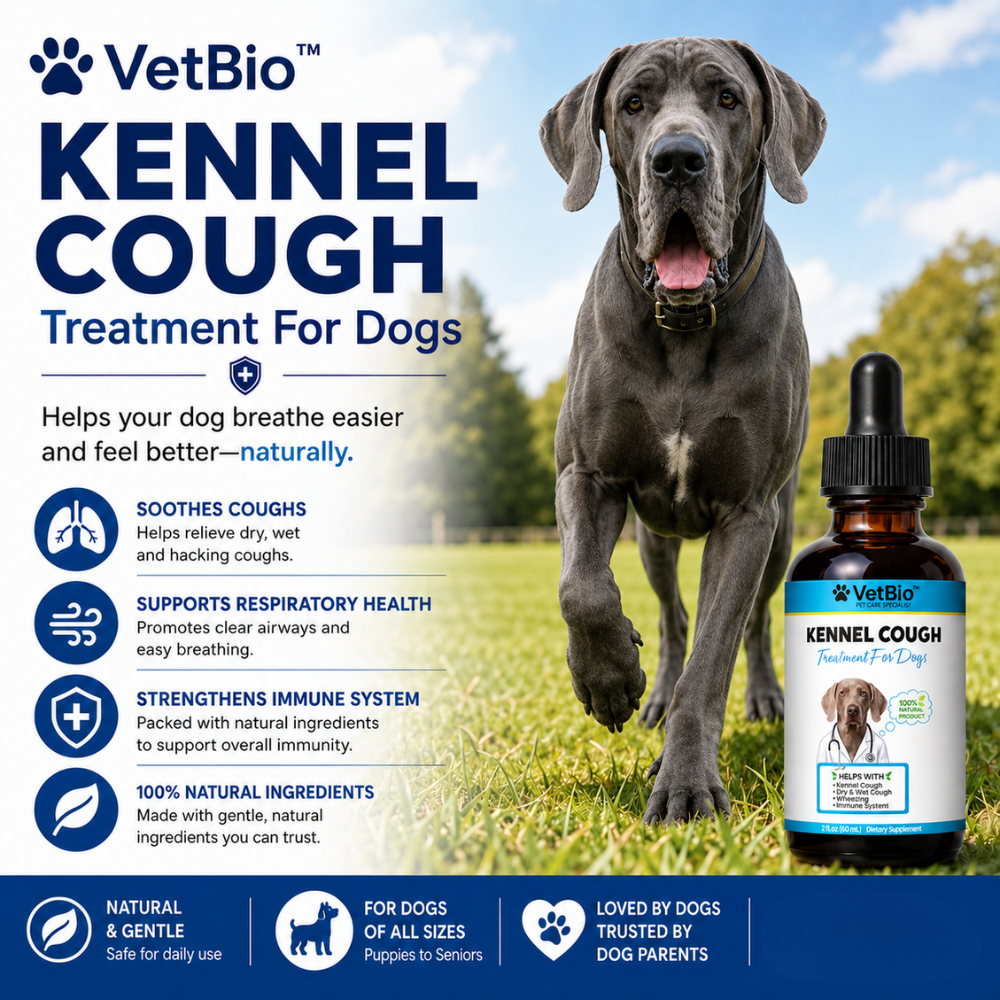 VetBio™ Kennel Cough Treatment for Dogs (60ml)