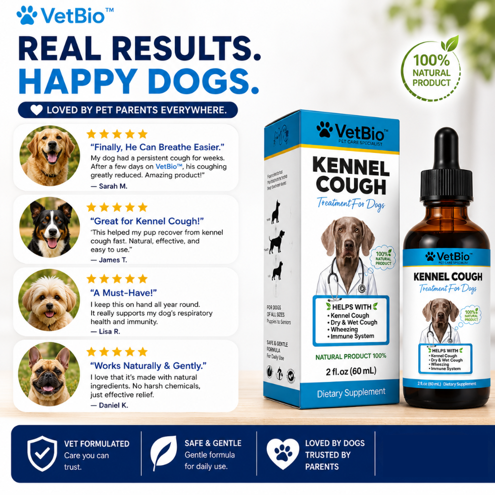 VetBio™ Kennel Cough Treatment for Dogs (60ml)