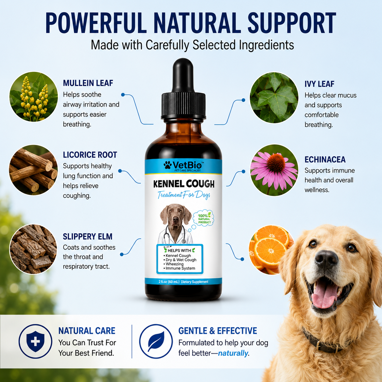VetBio™ Kennel Cough Treatment for Dogs (60ml)