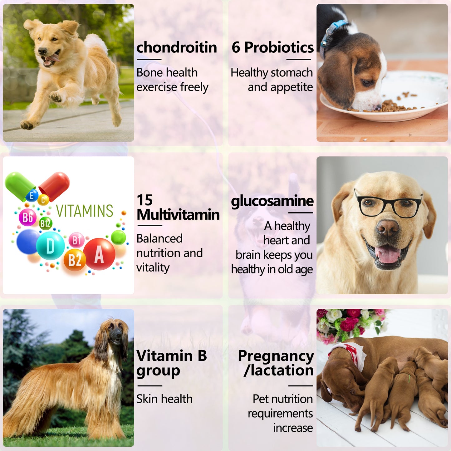Collagen Multivitamin Chews