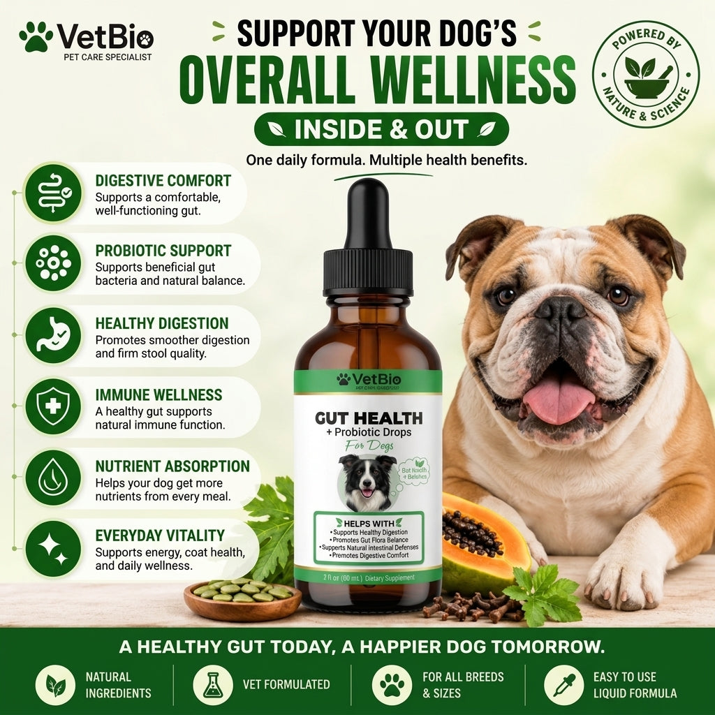 VetBio™ Gut Health + Probiotic Drops