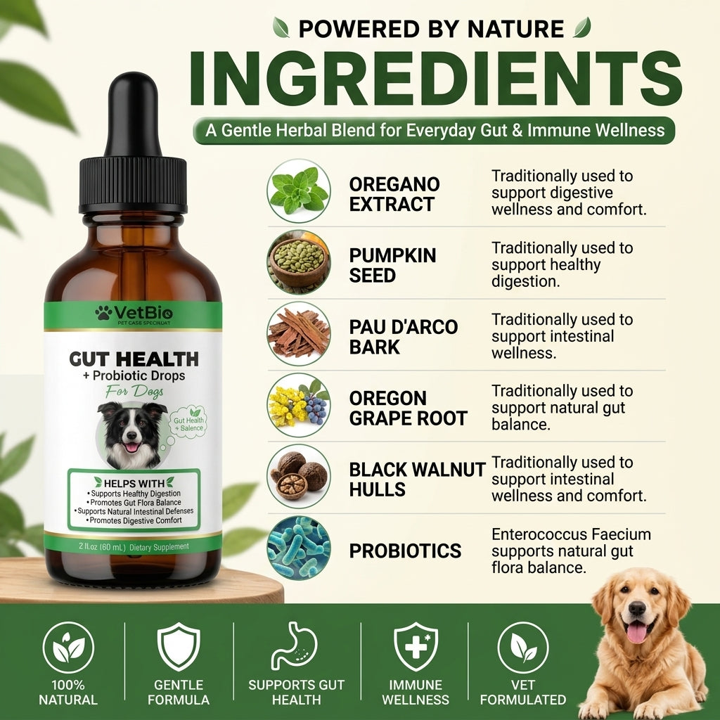 VetBio™ Gut Health + Probiotic Drops